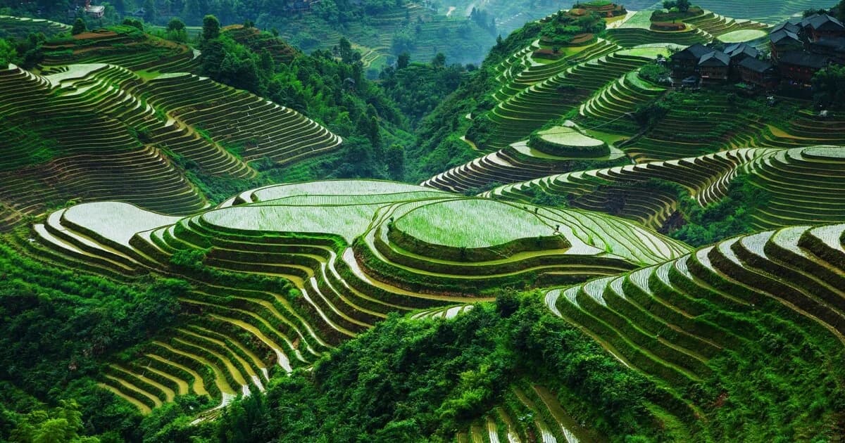Banaue Rice Terraces, Ifugao